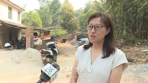 織密民生安全網 在數智時代守好群眾